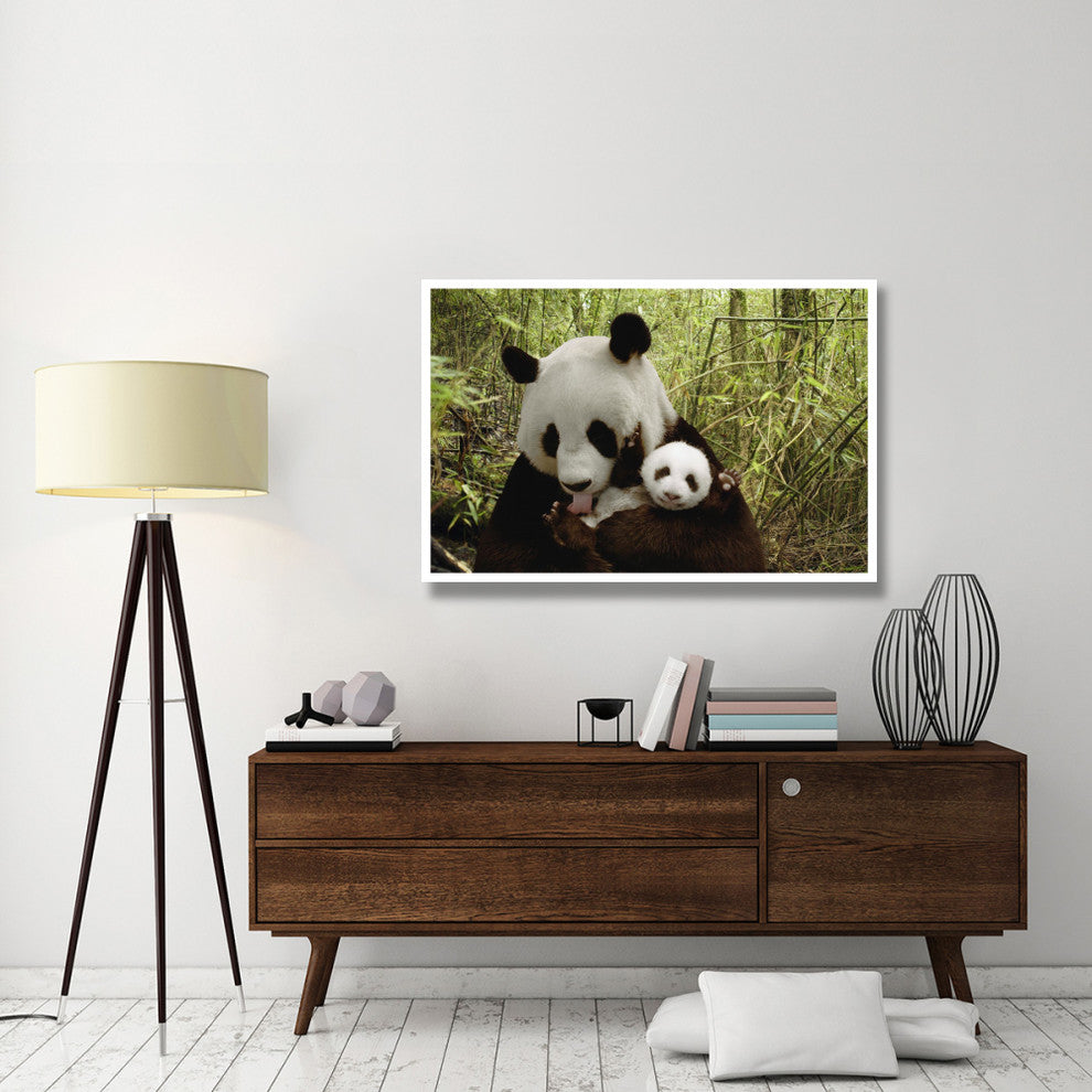 "Giant Panda Gongzhu and cub, bamboo, Wolong Nature Reserve" Paper Art, 50"x34"