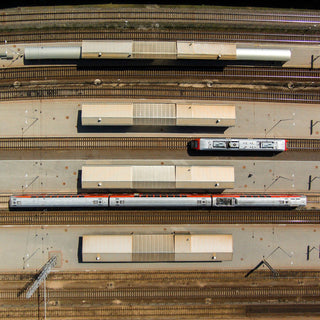 "Trains" Painting Print on Canvas by Karolis Janulis