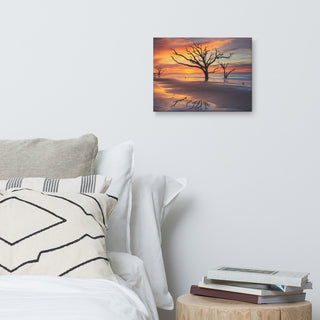 Sunrise & Trees At Edisto Island Coastal Landscape Photo Canvas Wall Art Print, 12" X 16"