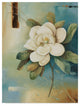 Lisa Audit ''Magnolia Abstract II'' Canvas Art, 32"x24"