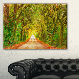 "Fall Greenery and Road Straight Ahead" Forest Wall Art, 1 Panel, 60"x28"