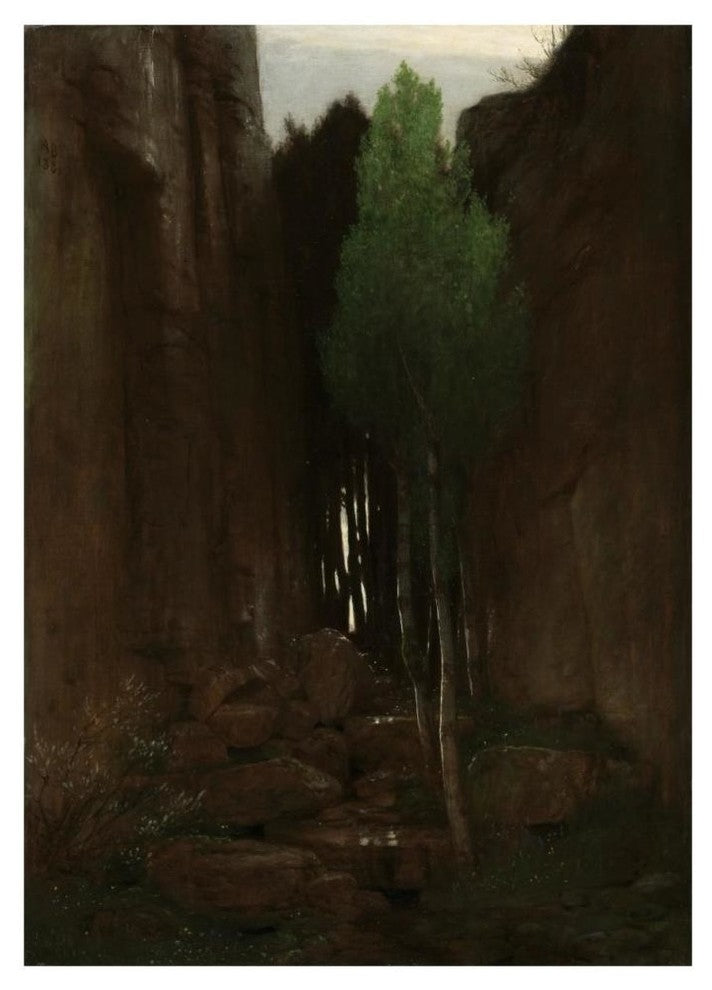 "Quell in einer Felsschlucht (Spring in a Narrow Gorge)" Paper Art, 33"x46"