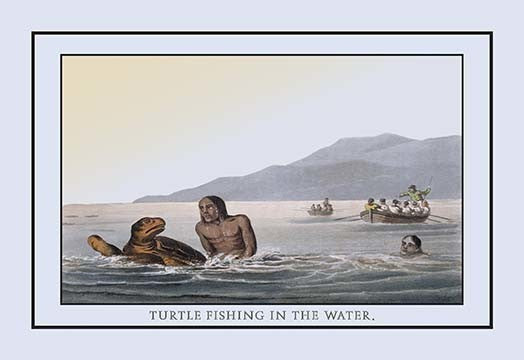 Turtle Fishing in the Water- Fine Art Giclee Print 24" x 36"