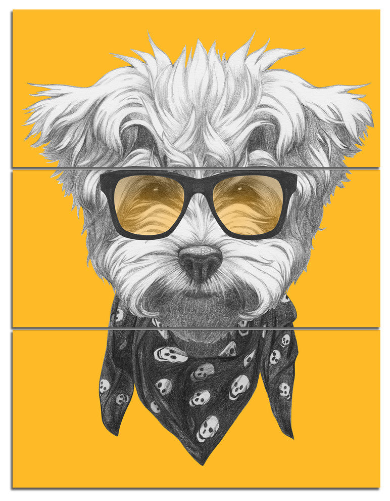 Maltese Poodle with Sunglasses, Animal Triptych Canvas Print, 28x36, 3 Panels