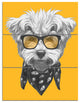 Maltese Poodle with Sunglasses, Animal Triptych Canvas Print, 28x36, 3 Panels