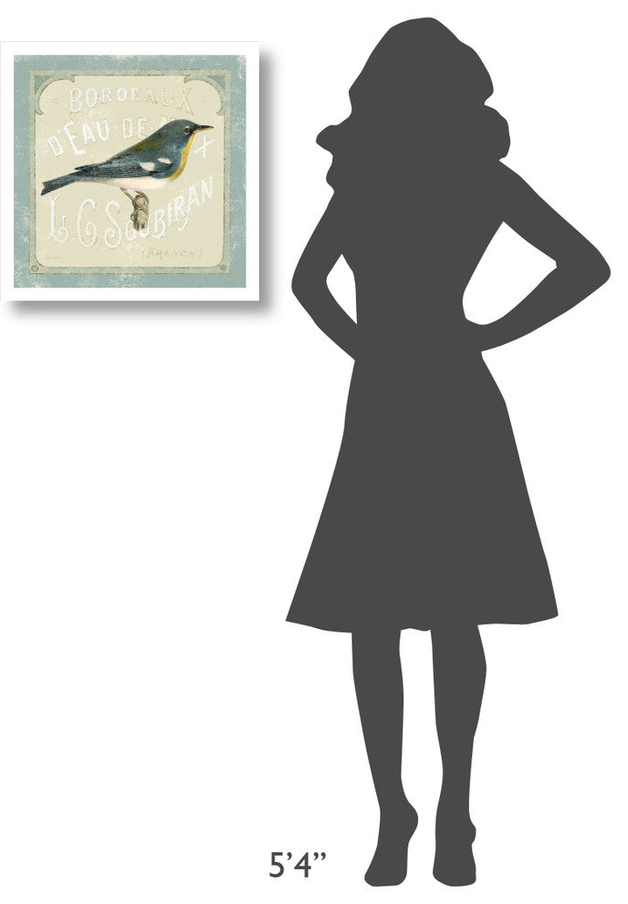 "Parisian Bird I" Digital Paper Print by Sue Schlabach, 20"x20"