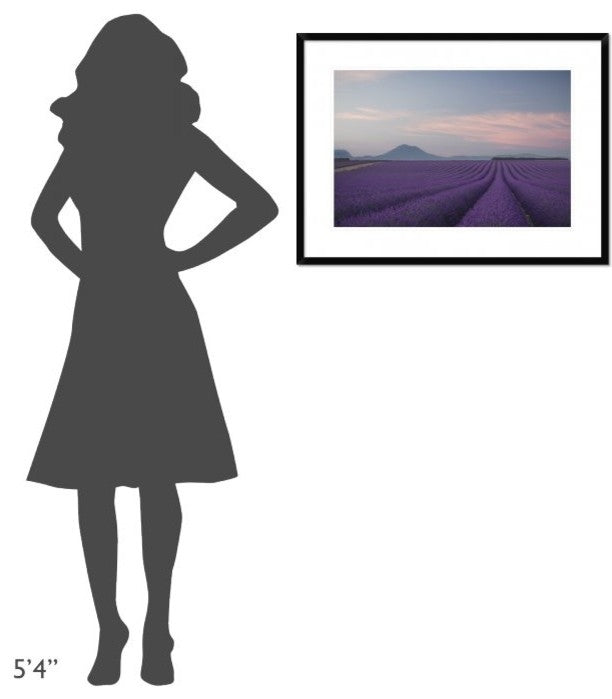 "Lavender Field" Framed Digital Print by Rostovskiy Anton, 32x24"