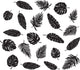 Tropics Wall Art Kit