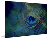 "Plume Robin Dickinson" Painting Print on Wrapped Canvas