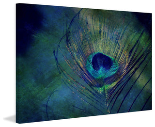 "Plume Robin Dickinson" Painting Print on Wrapped Canvas