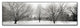 Alan Blaustein 'Winter Garden I' Canvas Art, 32x10