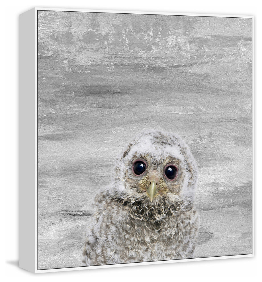 "Snow Owl" Floater Framed Painting Print on Canvas, 16"x16"