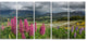 Flowering Landscape of New Zealand, Landscape Canvas Print, 60"x28", 5 Panels