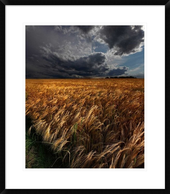 "Strohgaeu" Framed Digital Print by Franz Schumacher, 26x30"