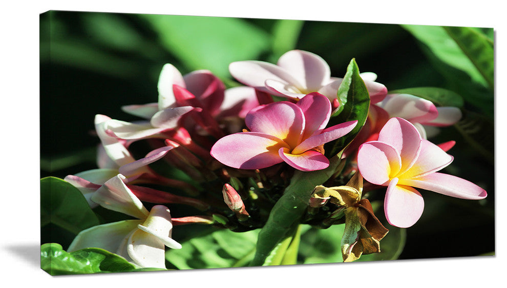 Beautiful Little Pink White Flowers, Floral Art Canvas Print, 32"x16"