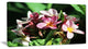 Beautiful Little Pink White Flowers, Floral Art Canvas Print, 32"x16"