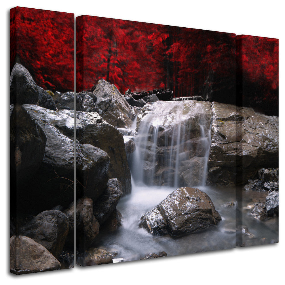 Philippe Sainte-Laudy 'Red Vison' Multi Panel Art Set, 41"x30"