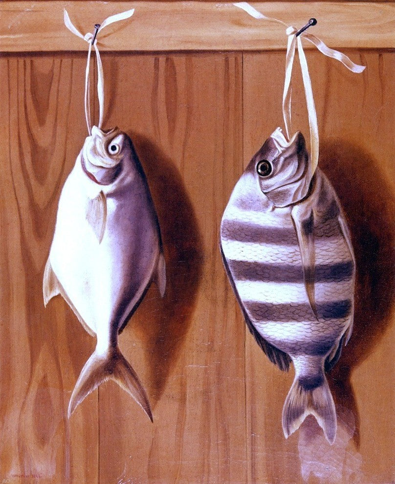 William Aiken Walker Dollar Fish and Sheephead Gallery Wrapped Canvas Print