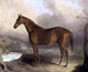 Edward Troye Dick Chinn- by Sumpter, 20"x25" Wall Decal