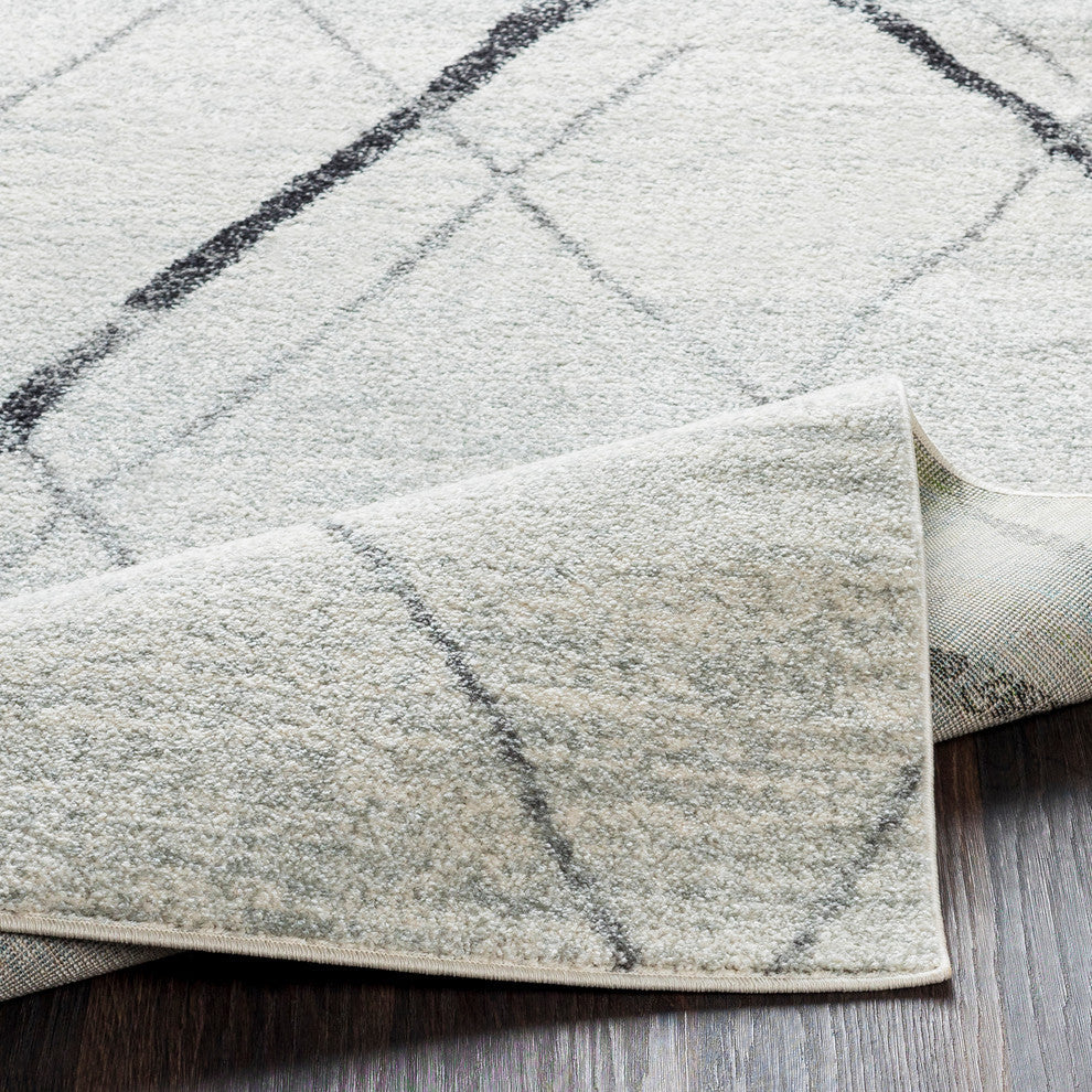 Elaziz Modern Gray, White Area Rug, 2'x3'