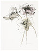 "Three Somniferums Poppies Neutral" Paper Print by Shirley Novak, 38"x50"