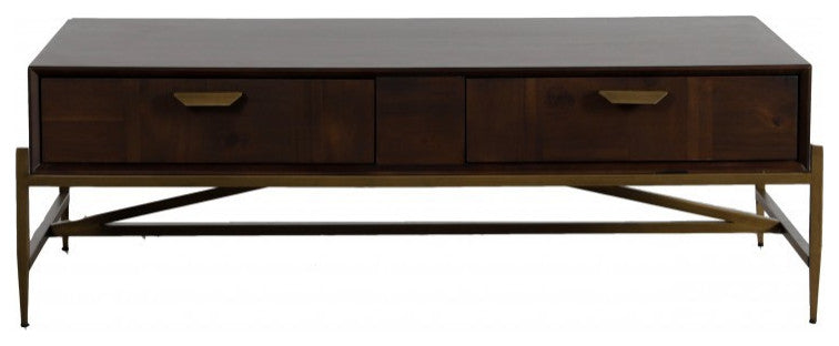 Modern Dark Mango Acacia and Brass Coffee Table