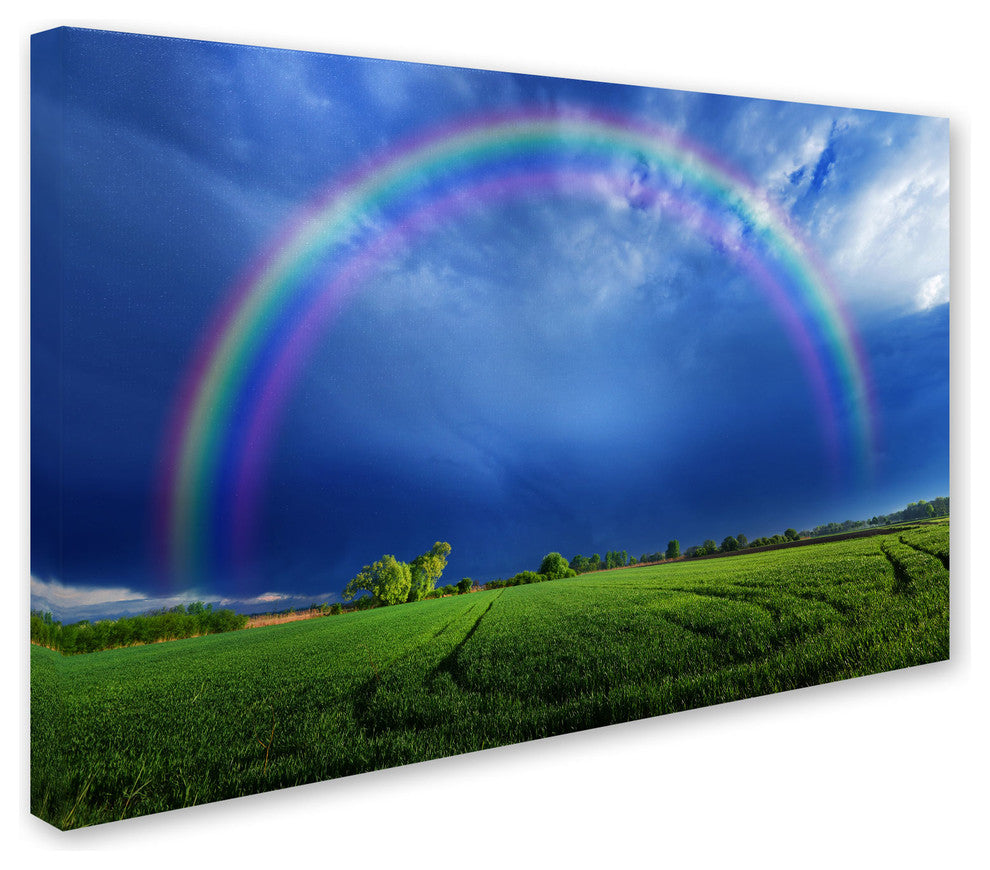 'Lucky Rainbow' Canvas Art by Philippe Sainte-Laudy