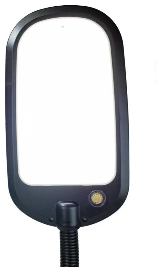 Slim Design LED Bright Reader Natural Daylight Full Spectrum Desk Lamp Black
