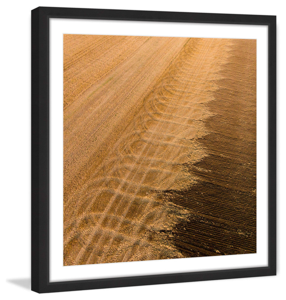 "Wheat Field" Framed Print by Karolis Janulis
