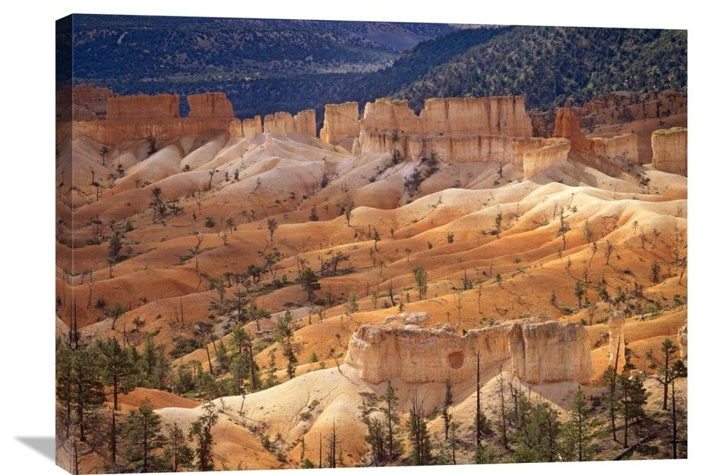 "Hoodoos And Fins, Bryce Canyon National Park, Utah" Artwork