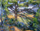Paul Cezanne Large Pine and Red Earth, 21"x28" Wall Decal Print
