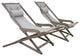 2-Piece Gray Wash Eucalyptus Folding Swing Lounger Set