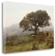 "Oak Tree - 54" By Alan Blaustein, Giclee Print on Gallery Wrap Canvas