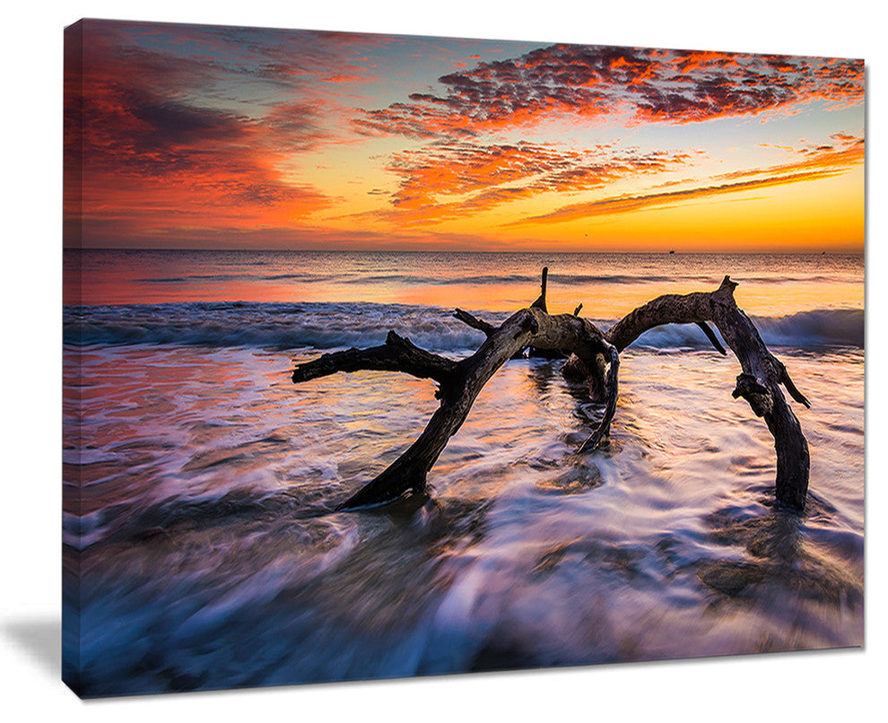 "Tree and Waves in The Atlantic Ocean" Seashore Canvas Wall Art, 20"x12"