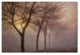 Cora Niele ''Early Morning'' Canvas Art