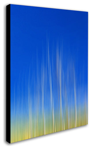 'Vertical Activity' Canvas Art by Philippe Sainte-Laudy