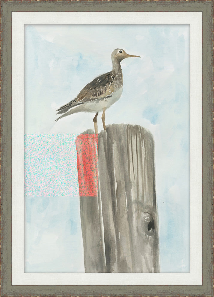 Watercolor Sea Bird 1, Giclee Reproduction Artwork