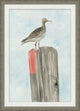Watercolor Sea Bird 1, Giclee Reproduction Artwork