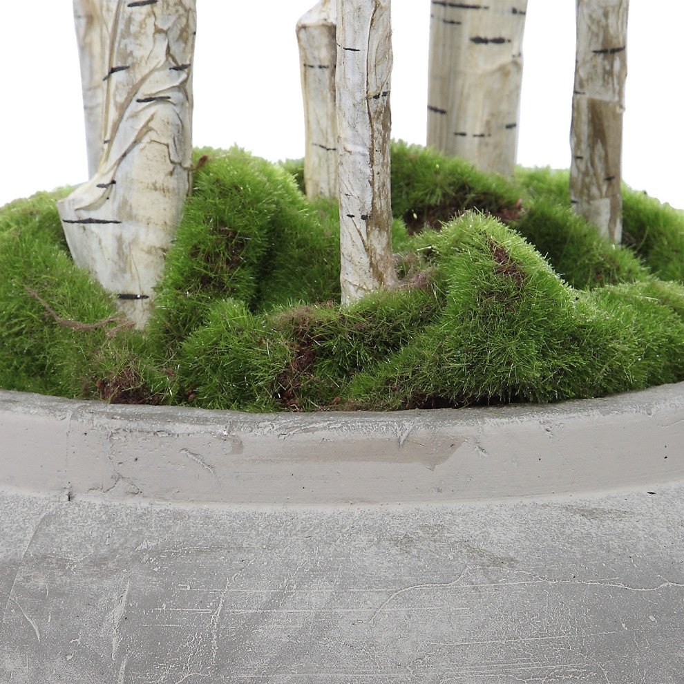 River Birch Tree Branches Potted Concrete Planter Minimalist Floor