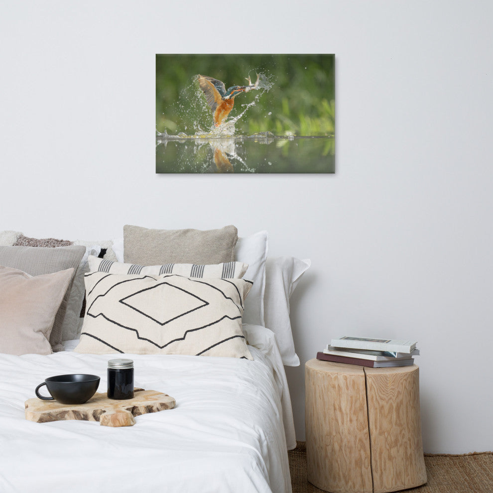 Flying Common Kingfisher Bird - Fish Animal Wildlife Photo Canvas Wall Art Print, 24" X 36"