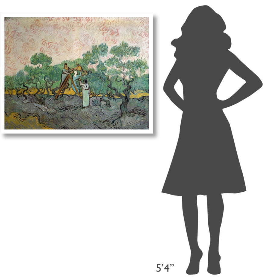 "Women Picking Olives" Digital Paper Print by Vincent Van Gogh, 38"x30"