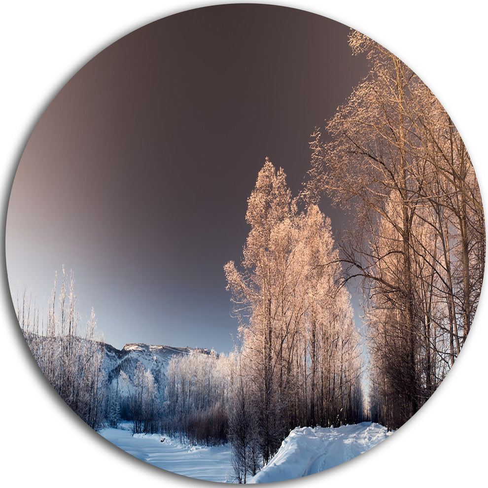 Futuristic Winter Sky, Landscape Photo Large Disc Metal Wall Art, 38"