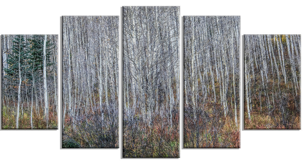 Maroon Bells Mountain View, Modern Forest Canvas Art, 60"x32", 5 Panels