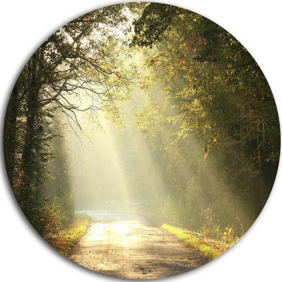 Bright Sunbeams To Fall Forest, Landscape Photo Round Wall Art, 11"