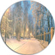Yellow Seats In Mariinsky Garden, Landscape Photo Round Wall Art, 38"