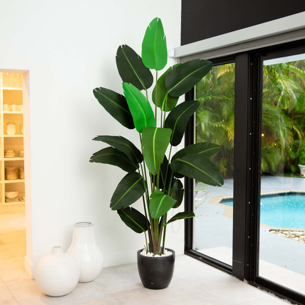 Lifestyle shot showing plant in a room setting (lifestyle).