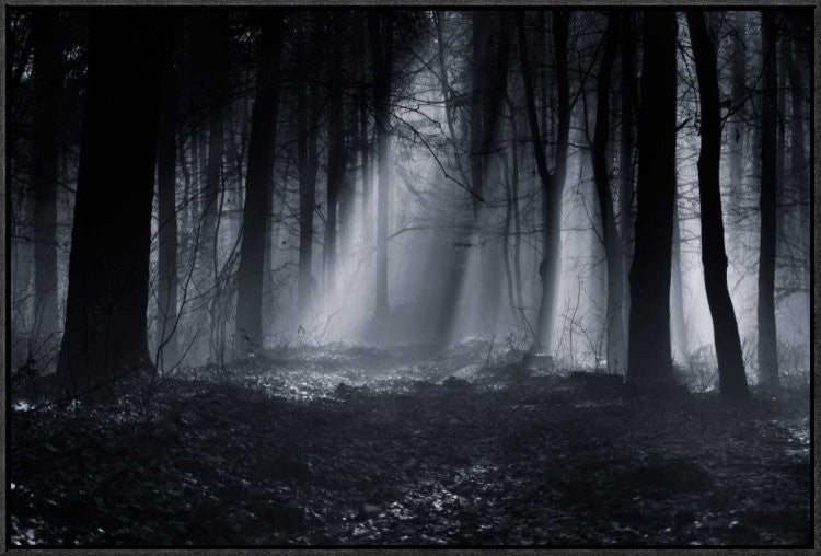 "Capela Forest" Framed Canvas Giclee by Julien Oncete, 31x21"