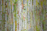 "Into the Trees" UV Ink Print on Brushed  Aluminum, 45"x30"
