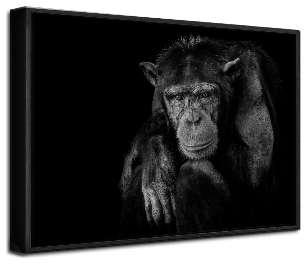 Youth Don't Last Forever' Framed Print Wall Art by Nauzet Baez