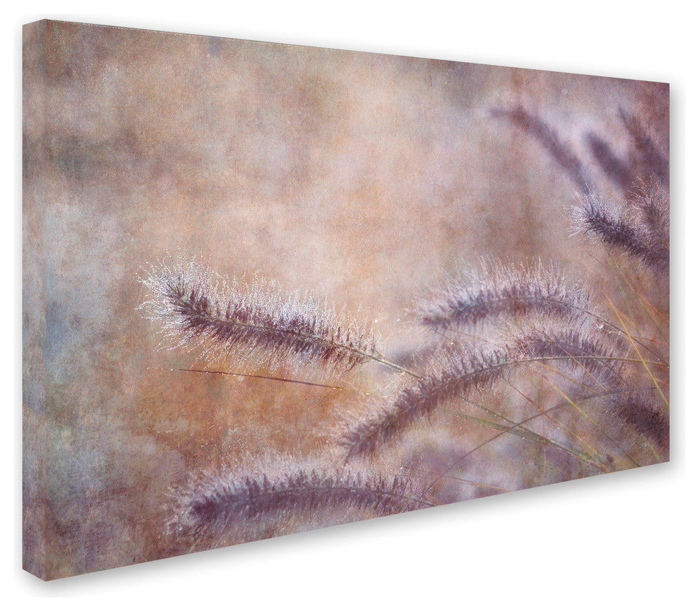 Cora Niele ''Dew Fox Tail Grass'' Canvas Art